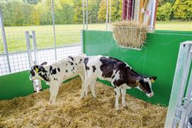 Achterwand (rooster) voor groene Patura kalverbox