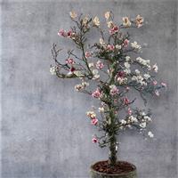 Kunstboom - Magnolia boom - 200cm -