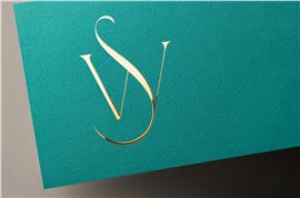 Modern Logo Ontwerp vanaf €75
