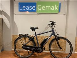 07: Victoria eTrekking 5.5 | 53 cm | 300 Wh