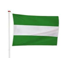 Vlag Rotterdam 200x300cm (voor masten 7 en 8 meter)