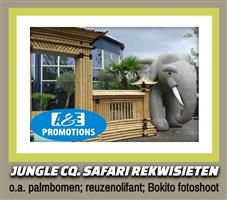 verhuur jungle feest aankleding reuzeolifant etc.