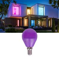 Kogellamp E14 paars | kleine fitting LED lamp 4W=30W gloeilamp | 230V