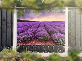 NR 1308: Tuinposter lavendelveld 120x180cm