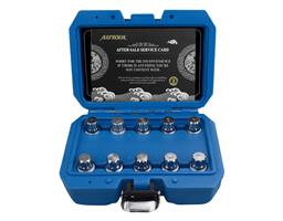 Autool BMW Anti-Diefstal Slotbout Doppenset 10-Delig