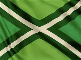 Vlag streek Achterhoek 225x350 cm