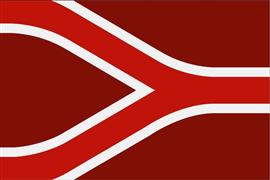 Vlag streek Liemers 225x350 cm
