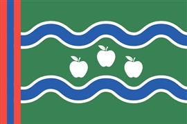 Vlag streek Betuwe 225x350 cm