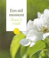 Troost & moed / Een stil moment