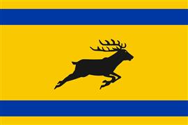Vlag streek Veluwe 300x450 cm