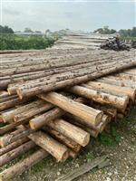 Spar in barst Kop 10 400cm
