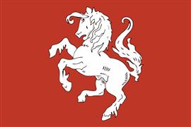 Vlag streek Twente (Twentse Ros) 225x350 cm
