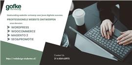 Betaalbare en Professionele WordPress Websites 