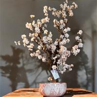 Hotel Chique - Kunst bloesemboom -  Kunstbloemen - Sakura - kunstplant - 80cm - spring blossom