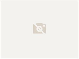 Vicon PENDELSTROOIER-694901
