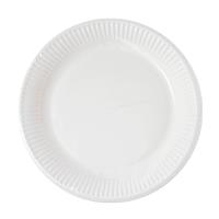 White Paper Products White Paper Plates 20Cm Home & Industrial Compostable Certified 10St