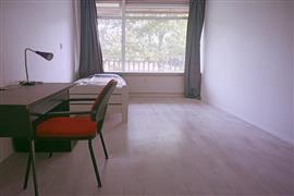 Kamer Dotterlei in Capelle aan den IJssel