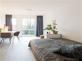 Studio Oostersingel in Groningen