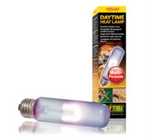 Daytime Heat Lamp