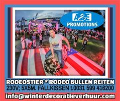 huur wilde westen cowboy feest  items rodeostier
