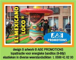 huur mexico party items sombrero kaktussen etc. 