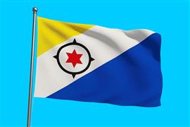 Vlag Bonaire 225x350 cm