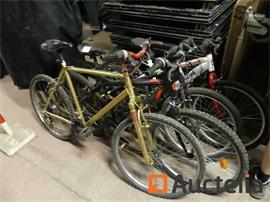 4 Mountenbike fietsen
