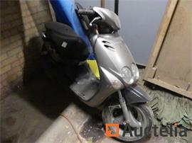 Scooter Neos