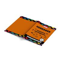Werkboek executieve vaardigheden - Werkgeheugen (5 st.)