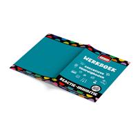 Werkboek executieve vaardigheden - Reactie - inhibitie (5 st.)