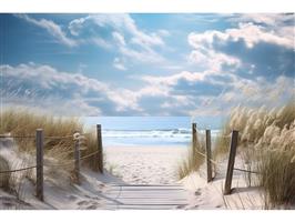 Glasschilderij Duinen | 1052