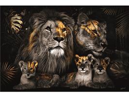 Glasschilderij Leeuwen Famillie | 623BS