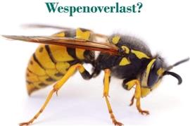 Wespenbestrijding, wespen overlast.