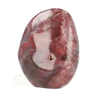 Versteend hout sculptuur nr 18