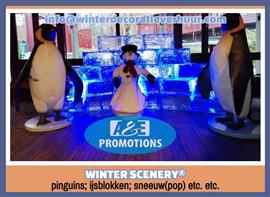top wintersfeer aankleding huren groningen assen