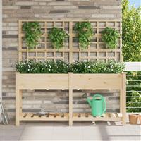 vidaXL Plantenbak met schap en latwerk 161x43x152 cm massief vurenhout