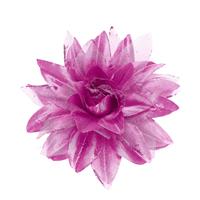 HAARCLIP BLOEM MET GLITTER, LICHTPAARS