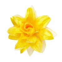 HAARCLIP BLOEM MET GLITTER, GEEL