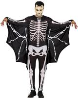 Bat skeleton, adult