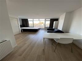 Studio Vijverhofstraat in Rotterdam