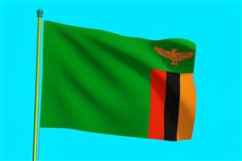 Vlag Zambia 225x350 cm