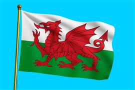 Vlag Wales 300x450 cm