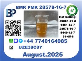 BMK PMK factory,CAS 28578-16-7