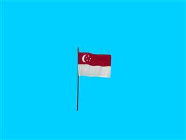 Tafelvlag Singapore + kunststof houder