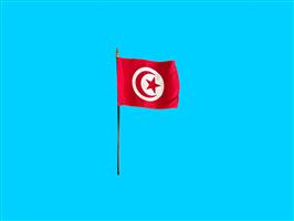 Tafelvlag Tunesië + kunststof houder