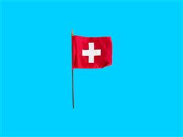 Tafelvlag Zwitserland + kunststof houder