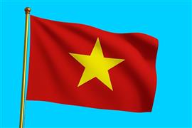 Vlag Vietnam 300x450 cm