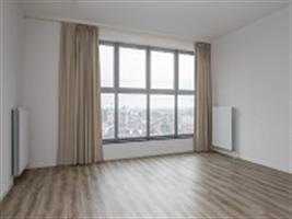 Studio Brede Hilledijk in Rotterdam