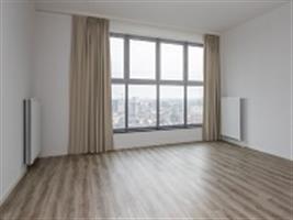 Studio Brede Hilledijk in Rotterdam