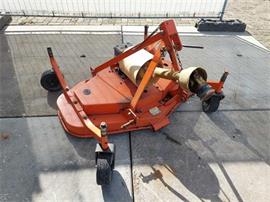Maschio weilandbloter